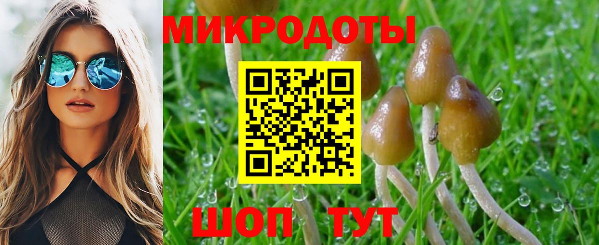закладка  Галлюциногенные грибы Cubensis  Уварово  Вход с VPN  Псилоцибиновые грибы ЛСД 